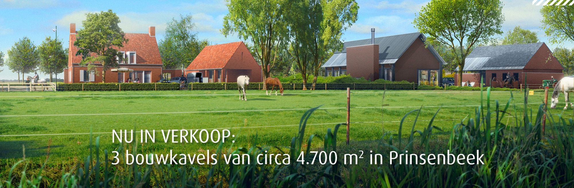 ruimte voor bouwkavels in Brabant