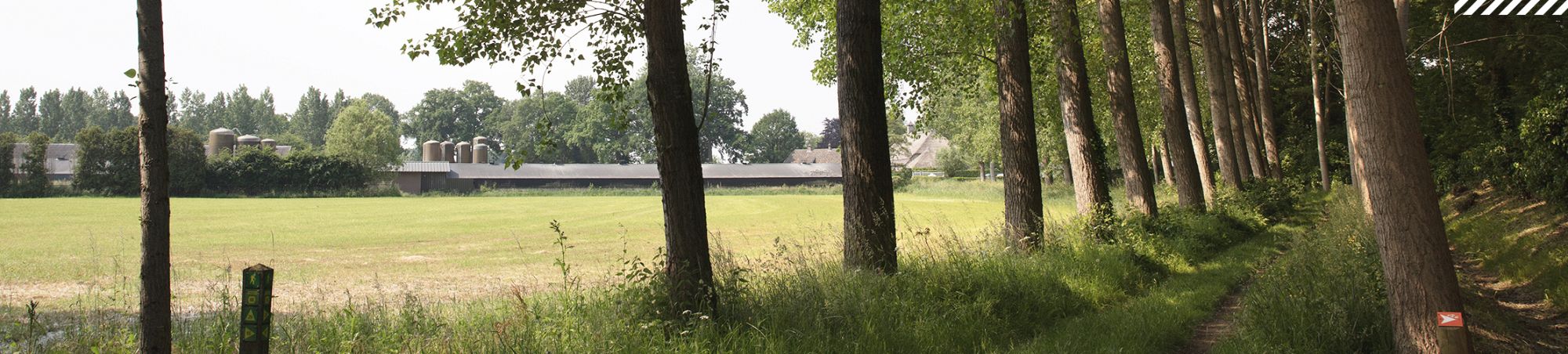 ruimte voor bouwkavels in Brabant