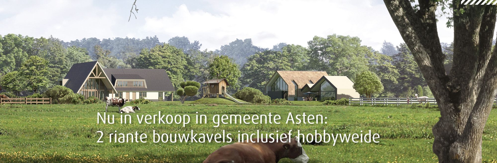 ruimte voor bouwkavels in Brabant