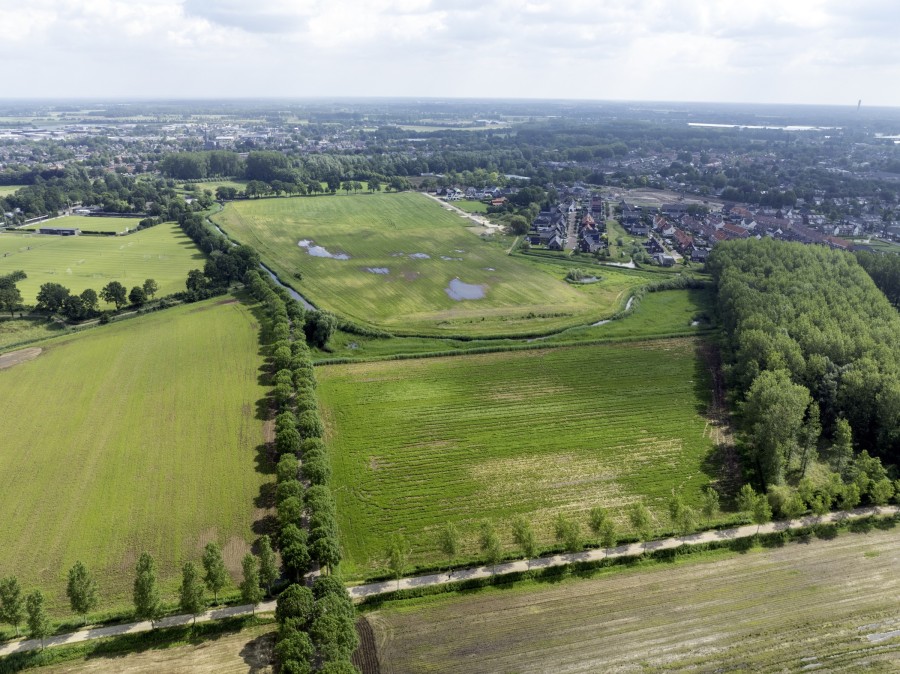 GerardVanDam-HeuvelscheVelden-droneshot-groen2024.jpg
