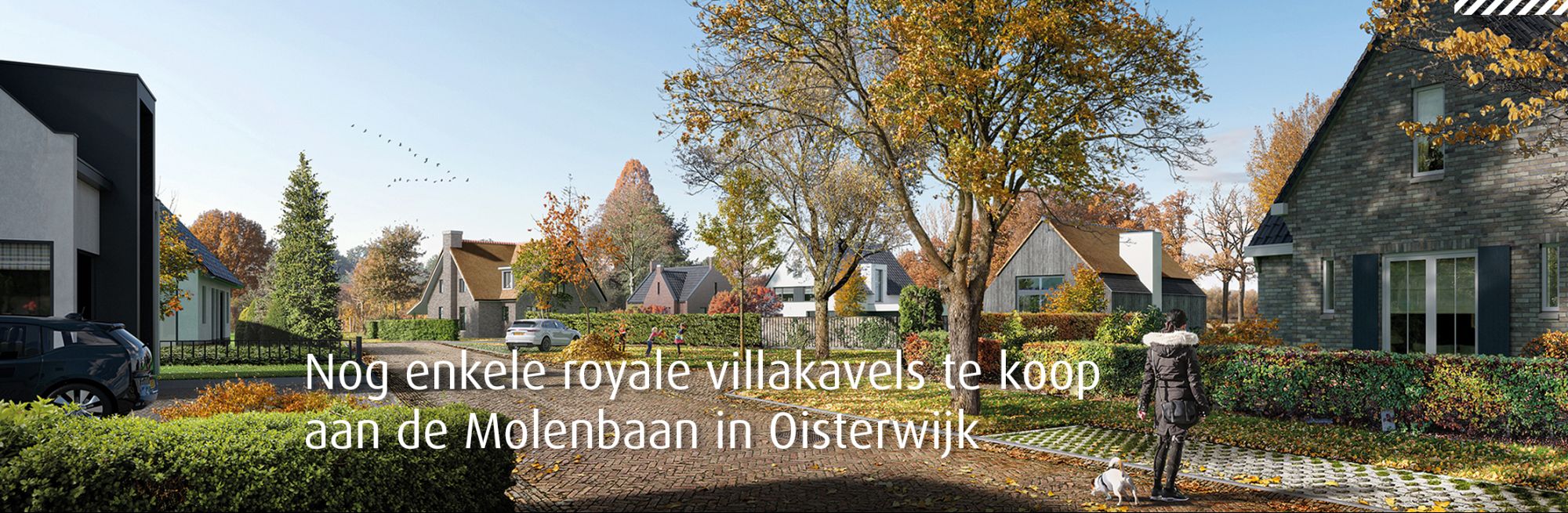 ruimte voor bouwkavels in Brabant